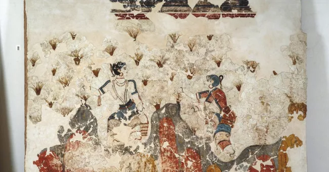 Femmes cueillant du safran, fresque d'Akrotiri à Théra (Santorin), XVIe siècle avant J.-C. Luisa Ricciarini / Bridgeman Ima