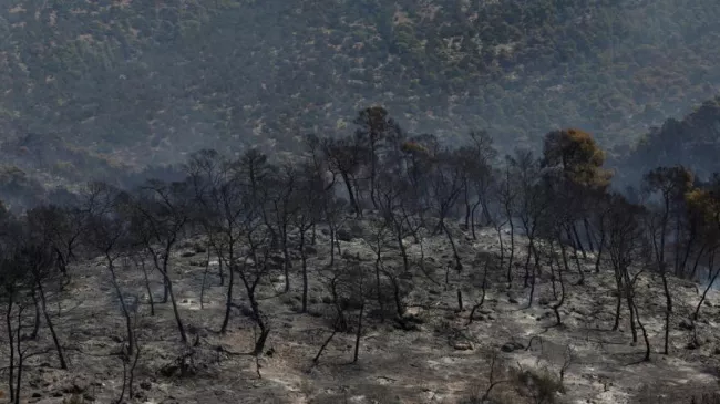 Grèce : un maire placé en détention après l’incendie de forêt à l’ouest d’Athènes.