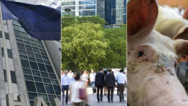 Grèce, économie française, filière porcine : le récap éco du jour.