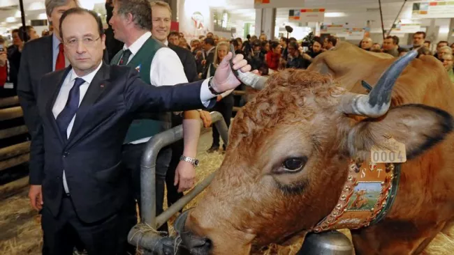 Le président français au Salon de l'agriculture en 2014. Crédits photo : JACQUES BRINON/AFP


