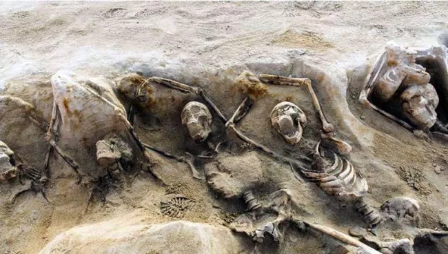 Les squelettes retrouvés étaient alignés dans les fosses, certains sur le dos d'autres sur le ventre, tandis que 36 d'entre eux avaient les mains attachées par des liens en fer. Crédits photo : ARIS MESSINIS/AFP


