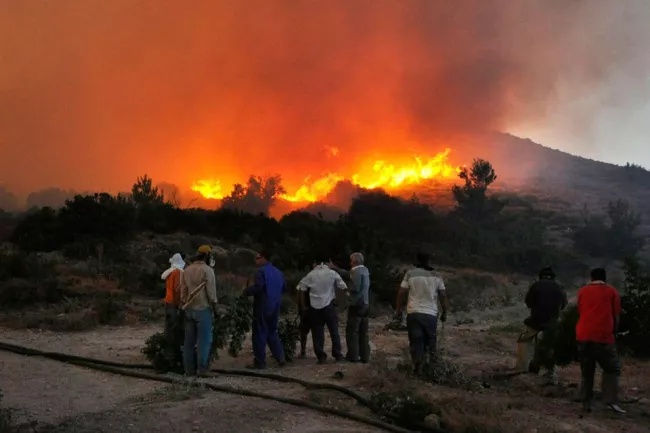 En août 2012, un important incendie avait déjà ravagé l'île de Chios, détruisant 12 000 hectares de végétation.


