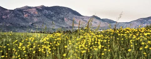 La campagne chypriote de République turque de Chypre du Nord au printemps. © © Adrien Golinelli / Phovea


