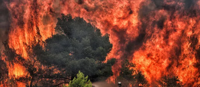 Des pompiers luttent contre les flammes dans le village de Kineta près d'Athènes le 24 juillet 2018. © VALERIE GACHE / AFP/ VALERIE GACHE


