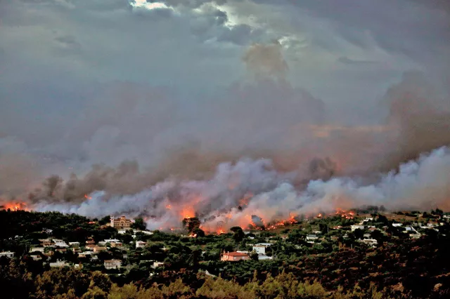 Le feu a dévalé les collines, se nourrissant des broussailles desséchées. Image: Reuters


