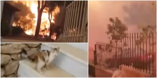 Grèce: cette vidéo témoigne de la violence et de la rapidité des feux qui ont ravagé le pays.