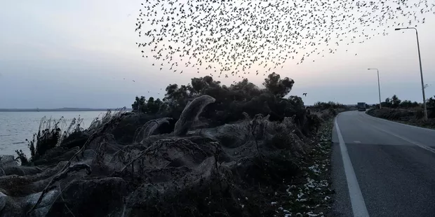 En Grèce, un lac est pris au piège dans une toile d'araignée géante.