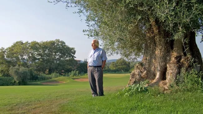 En Grèce, la belle histoire de l'enfant du pays qui voulait préserver ses terres.