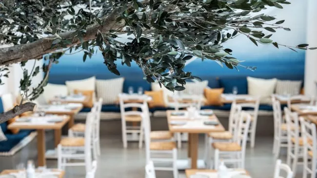 Yaya Secrétan, libre cours de grec.