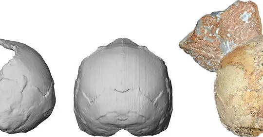 Le plus vieil Homo sapiens non africain retrouvé en Grèce.