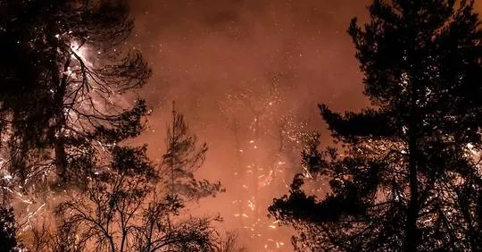 « Catastrophe écologique » sur l'île grecque d'Eubée ravagée par les flammes.