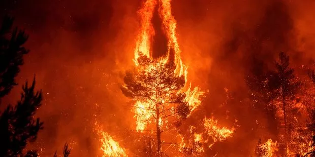 L'île d'Eubée, en Grèce, ravagée par un terrible incendie : "une catastrophe écologique".