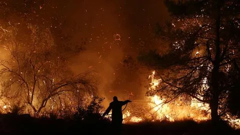 Incendie sur l'île grecque d'Eubée : les autorités déplorent une "catastrophe écologique".