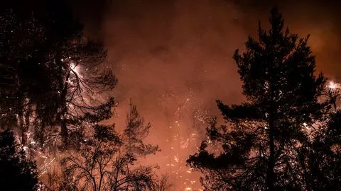 "Catastrophe écologique" sur l'île grecque d'Eubée, ravagée par les flammes.