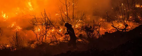Un important incendie provoque une «catastrophe écologique» sur l’île grecque d’Eubée.
