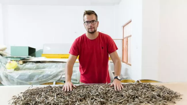 Grèce: Stavros, revenu pour les algues de Patras.