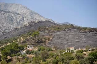 incendies samos