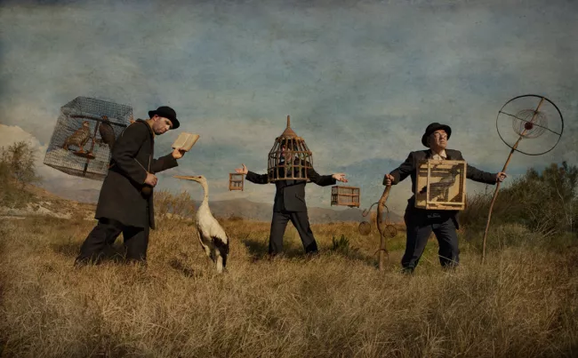 Daphné Rocou, Les ornithologues