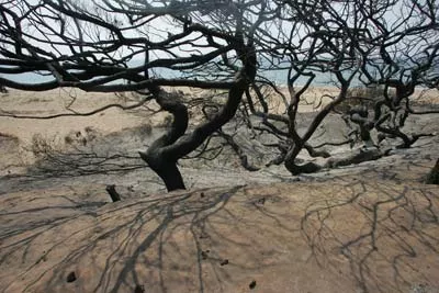 incendies