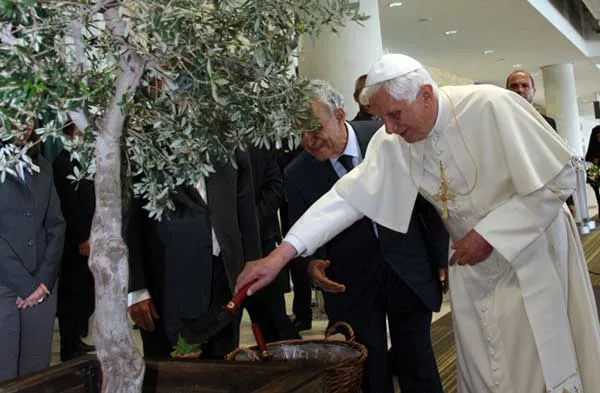 papebenoit chyprepap Le pape bénit un olivier à son arrivée à l