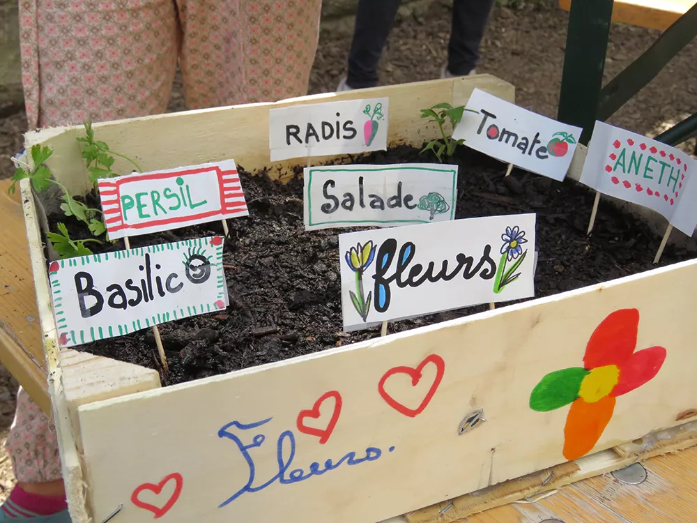 Le potager des petits